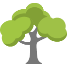 Owasso Tree Removal