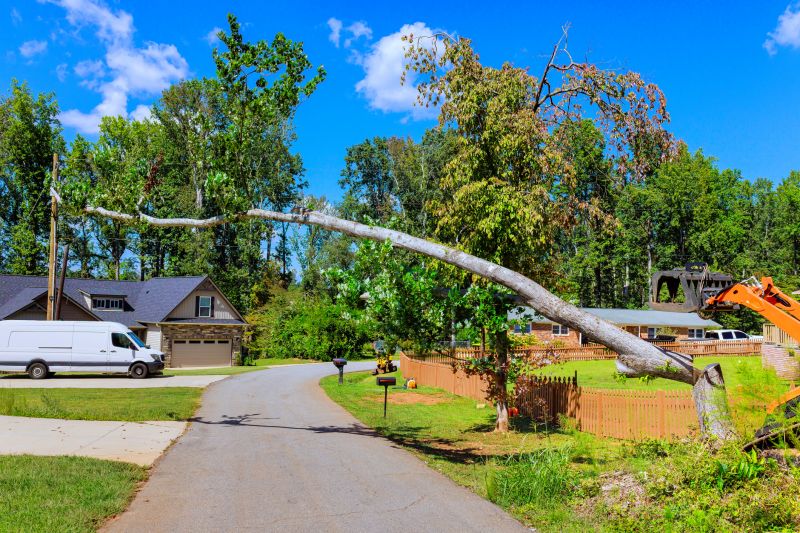 Cost of Emergency Tree Removal in Owasso, OK