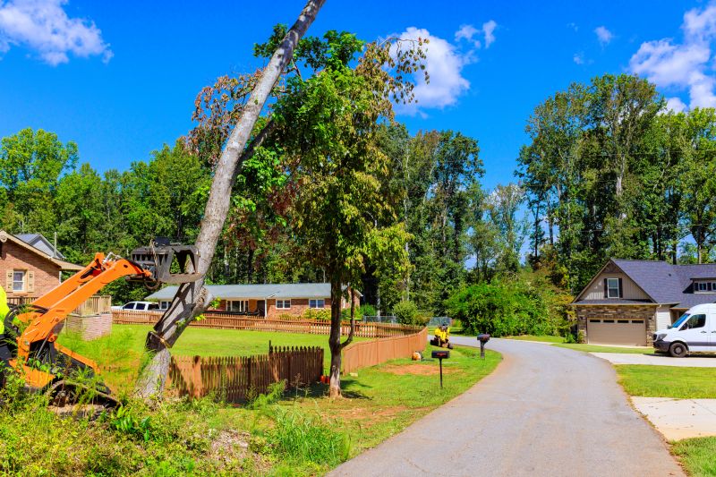 When To Get Tree Removals in Owasso