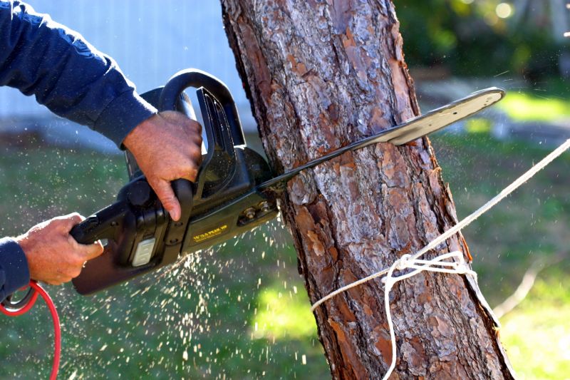 Who provides tree removal services in Owasso