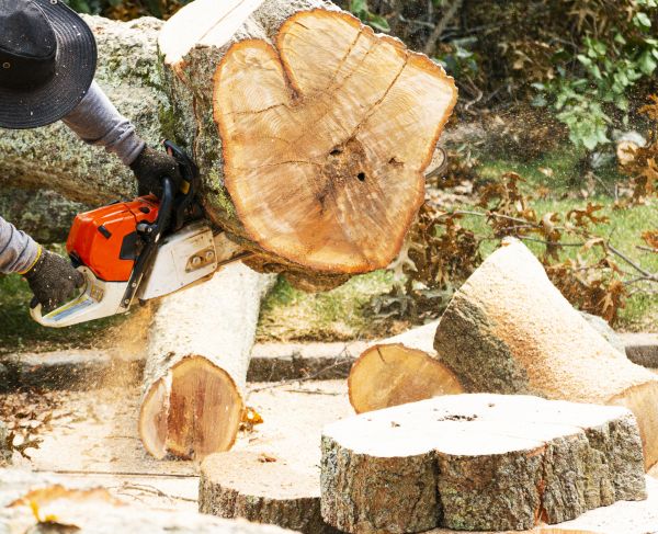 Tree Removal Service in Owasso