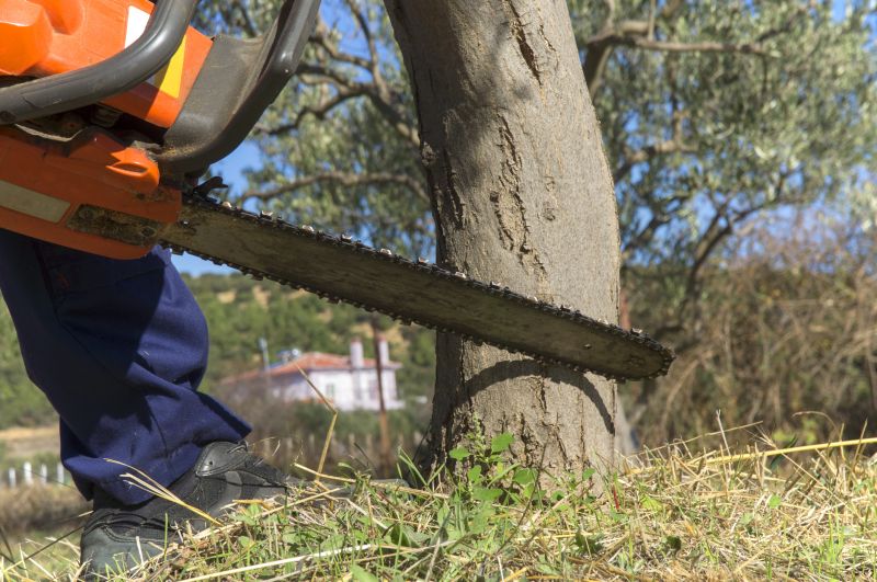 Land Clearing