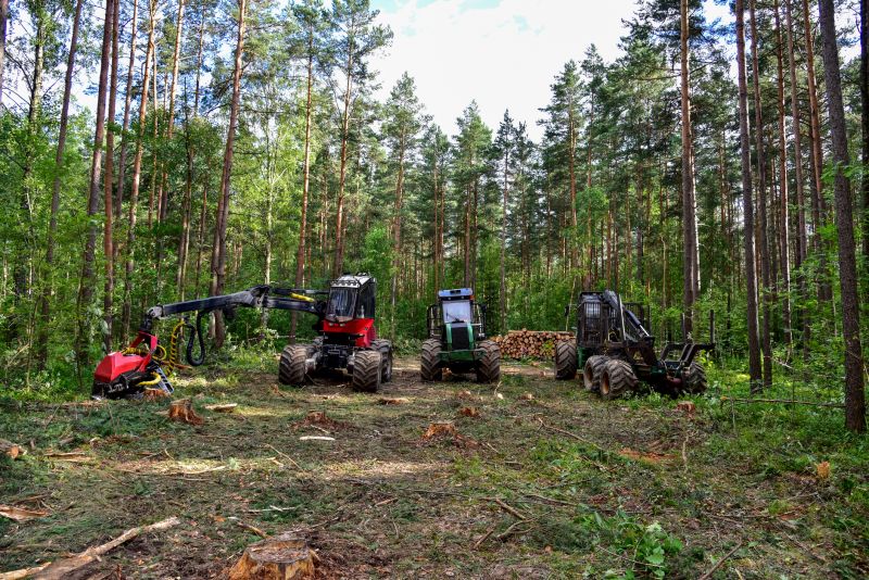Tree Removal Equipment Ready
